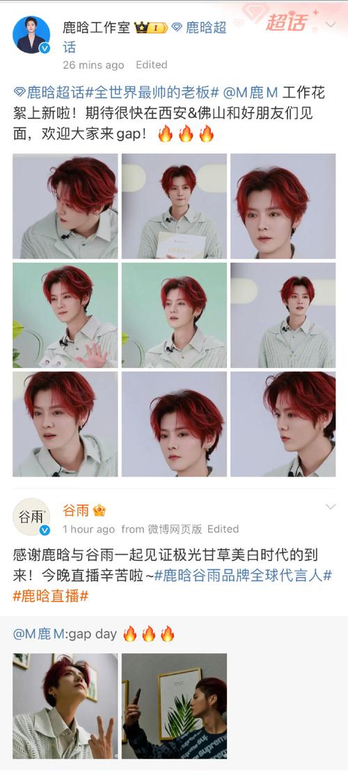 2025澳门马经,最新资料和鹿晗演唱会审批通过与鹿晗演唱会安排