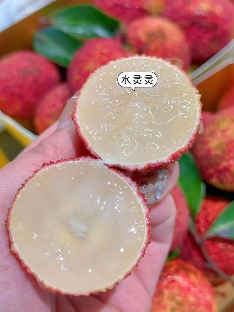 新澳天天开奖资料大全正版和拍800斤贵妃同款荔枝与贵妃荔枝拍卖多少钱一颗