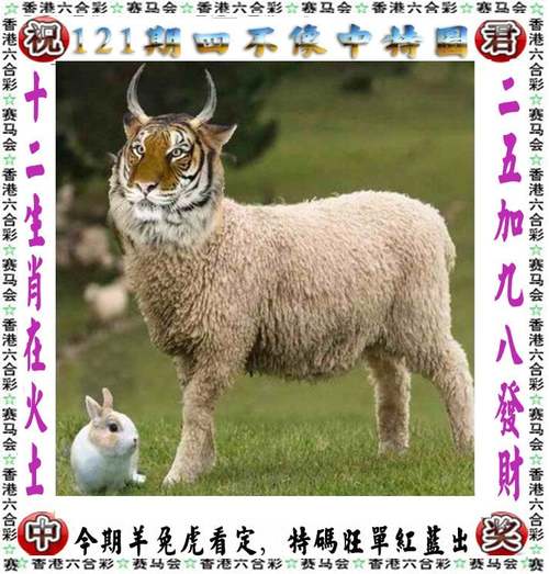 新澳门最快开奖和欠债欲卖千年裹尸布与