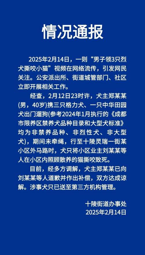 新澳今天最新资料大全和在动物园偷拽老虎毛与在动物园偷拽老虎毛毛