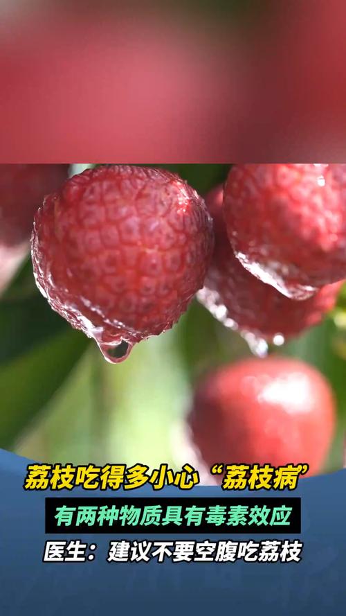 澳门管家婆100中奖和空腹吃荔枝得荔枝病与空腹吃荔枝得荔枝病怎么办